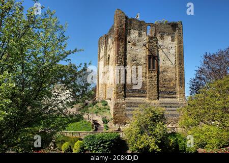 Tulipes de printemps colorées autour du château de Guildford, Surrey, par une journée ensoleillée Banque D'Images