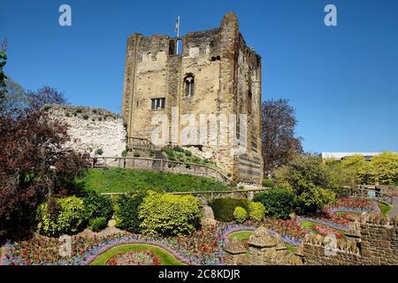 Tulipes de printemps colorées autour du château de Guildford, Surrey, par une journée ensoleillée Banque D'Images