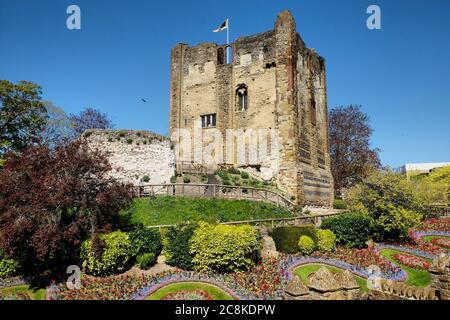 Tulipes de printemps colorées autour du château de Guildford, Surrey, par une journée ensoleillée Banque D'Images