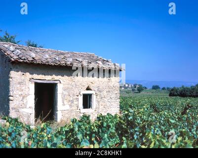 Maubec,France-juillet 25,2018: La construction de petites fermes abandonnées en pierre se dresse parmi les vignes florissantes dans un vignoble près de Maubec dans la région du Vaucluse en F. Banque D'Images