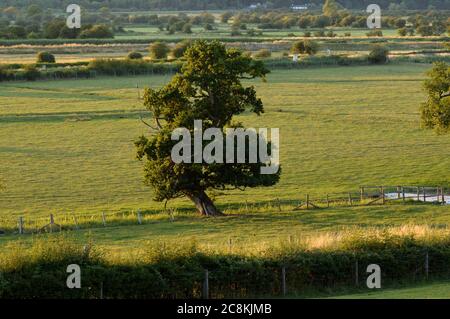 West Sussex, pays anglais et vallée de l'Arundel Banque D'Images