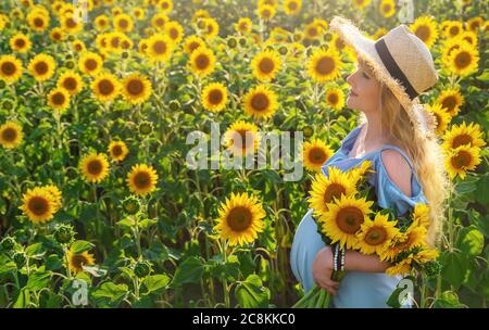 Une femme enceinte dans un champ de tournesols. Sélectif. Nature. Banque D'Images