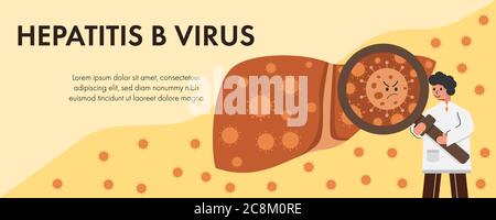 Le médecin examine le virus de l'hépatite B dans le foie avec une loupe. Concept illustration du vecteur d'infection par l'hépatite du foie. Illustration de Vecteur