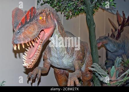 exposition de dinosaures Banque D'Images