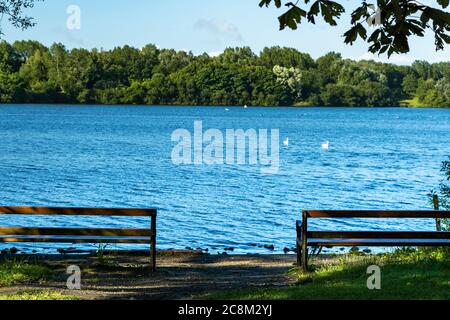 Une vue magnifique au bord du lac sur le paysage forestier environnant, vue panoramique entre deux bancs ajoutant plus de profondeur et de détention à la photo Banque D'Images