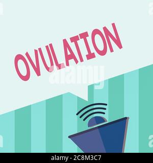 Saisie de texte ovulation. Photo d'entreprise présentant le rejet d'un ovule mature de l'ovaire pour imprégnation Megaphone Halftone avec Sound ic Banque D'Images