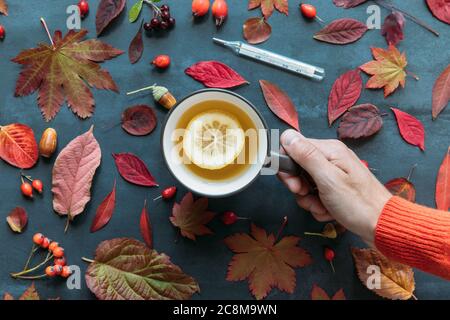 Saison de la grippe, concept du froid. Vue de dessus sur la main mâle tenant une tasse de thé chaud avec citron, feuilles de couleur automnale, rosehip mûr, aubépine et baies de rowan, Banque D'Images