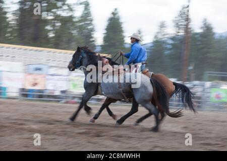 Un pick-up guide le cheval d'un cavalier jusqu'à la porte de sortie lors de l'événement de bronzage de selle au Stampede de la rivière Kootenai à Libby, Montana, le vendredi 24 juillet 2020. Le rodéo annuel a été organisé avec des mesures de sécurité supplémentaires en place en raison de la montée des cas de COVID-19 dans l'État. Banque D'Images