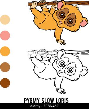 Livre de coloriage pour enfants, Pygmy Slow loris Illustration de Vecteur