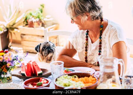 Concept d'amis avec l'homme et l'animal comme la thérapie d'animal de compagnie - joli pug vieux chien et femme âgée à la table regardant dans l'amitié Banque D'Images