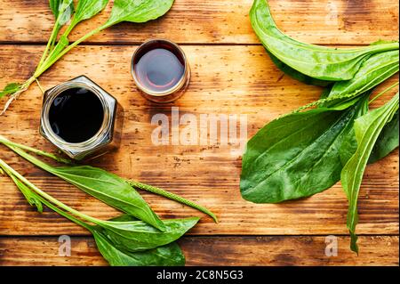 Extraits médicinaux de teinture, thé et plantain.herbes médicales en médecine de fines herbes. Banque D'Images