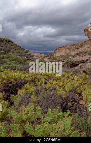 Une petite vallée formée de roches volcaniques avec le plancher complètement couvert de divers succulents et Cactus avec des nuages sombres menaçant la pluie. Banque D'Images