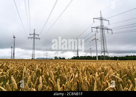 Lignes électriques, lignes haute tension, centrales éoliennes, champ de céréales, nord-est de Höxter, NRW, Allemagne Banque D'Images