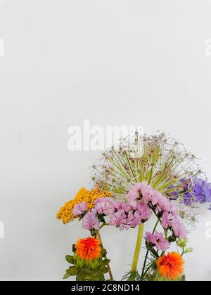 Petit bouquet de fleurs sauvages de printemps sur fond blanc Banque D'Images