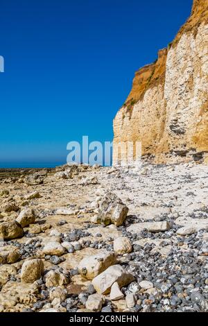 Falaises et plage rocheuse à Hope Gap, près de Seaford, sur la côte du Sussex Banque D'Images