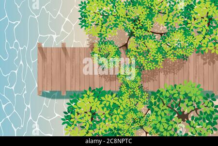 pont en bois topview dans la forêt de mangrove à marée basse Illustration de Vecteur