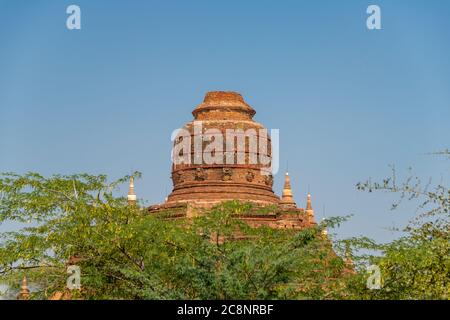 Anciens temples en briques rouges dans le Vieux Bagan, Myanmar. Stupas ruiné dans vert, paysage boisé avec fond bleu ciel Banque D'Images