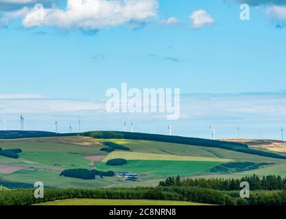 Vue lointaine sur le landes à la ferme éolienne sur une colline, frontières écossaises, Écosse, Royaume-Uni Banque D'Images