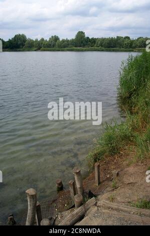 Spektesee, östliches Ufer, im Falkenhagener Feld / Spektenfeld à Berlin-Spandau Banque D'Images