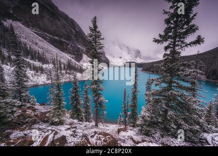 Lac Moraine dans la vallée des dix pics, Alberta, Canada Banque D'Images