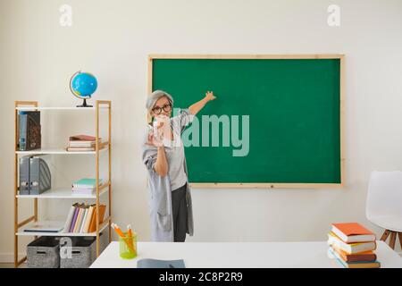 Éducation scolaire. Professeur principal expliquant le matériel près du tableau noir au clasroom. Professeur mature donnant une conférence en ligne Banque D'Images