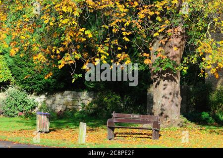 Banc public en automne, Broadway, Worcestshire, Royaume-Uni Banque D'Images