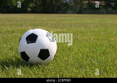 Ballon de football posé dans l'herbe verte prête à être joué. Banque D'Images