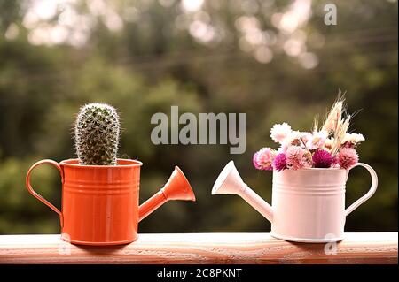 Conteneurs miniatures, un avec cactus, un avec fleurs Banque D'Images