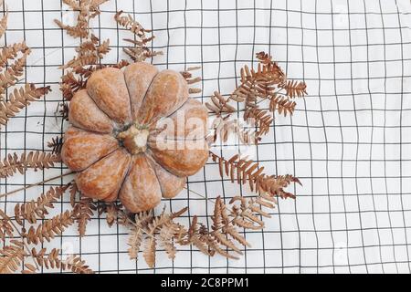 Gros plan de citrouille d'orange et de feuilles de fougères sèches sur une couverture à carreaux blancs. Thanksgiving, Halloween design. Version d'automne. Concept d'automne, pose plate Banque D'Images