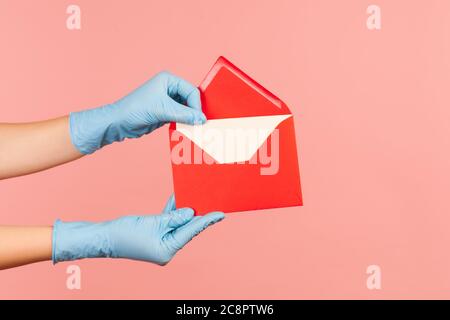 Vue latérale du profil gros plan de la main humaine en gants chirurgicaux bleus tenant la margelage de l'enveloppe rouge ouverte de lettre. Intérieur, prise de vue en studio, isolé sur rose Banque D'Images