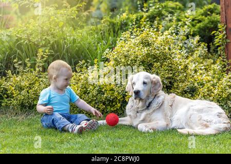 Un joli petit garçon liitle lance une balle rouge au chien Golden Retriever dans le jardin Banque D'Images