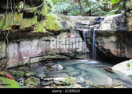 Parc national de Carnarvon gorge, Moss Garden : Queensland, Australie Banque D'Images