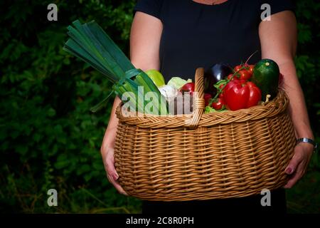 Agriculteur femme tenant un panier en osier plein de légumes frais crus. Panier avec légumes dans les mains à l'extérieur. Banque D'Images