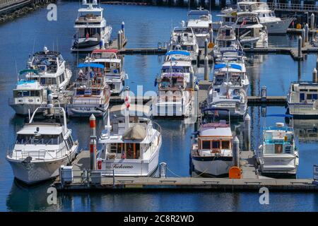 Seattle, États-Unis - 21 juillet 2018 - Yachts modernes amarrés dans le port de Seattle, États-Unis Banque D'Images
