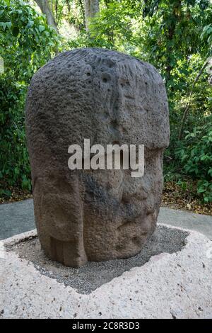 Monument 3, le Jeune guerrier, des ruines d'Olmec de la Venta. Période préclassique (700-400 av. J.-C.). Musée la Venta, Villahermosa, Mexique. Banque D'Images