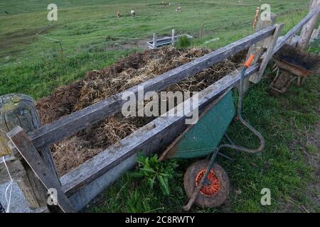 Habkern, Suisse. 07e juillet 2020. Le tas de dung sur un alp dans l'Oberland bernois. Près de 40 vaches, 34 bovins et 18 veaux passent l'été sur l'alp et sont pris en compte et milkés par deux étudiants allemands. Le mucking dehors fait partie du travail - chaque jour, cela signifie des centaines de kilos de fumier, qui sont transportés par brouette jusqu'au tas de fumier. (À dpa: 'Vache et fromage au lieu de Corona: Travail d'été sur l'alp suisse') crédit: Christiane Oelrich/dpa/Alay Live News Banque D'Images