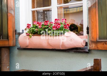 Une jolie boîte de fenêtre de porc rose sculptée et peinte en bois pour les plantes dans un café de la vieille ville. À Tallinn, Estonie. Banque D'Images