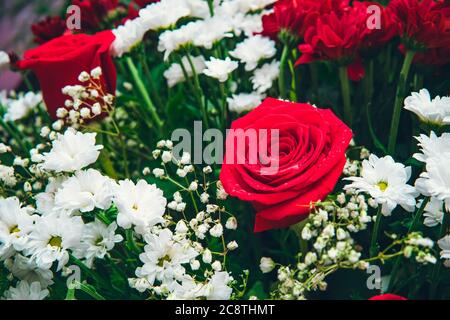 roses rouges et fleurs de chrysanthèmes blancs en bouquet Banque D'Images
