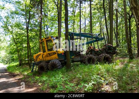 Machine forestière combinée, bois. (CTK photo/Marketa Hofmanova) Banque D'Images
