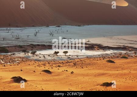 Dunes et acacia morts dans le désert du Namib, Dead Vlei, Sossusvlei, Namibie, Afrique. Célèbre destination touristique Banque D'Images