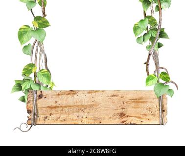 Panneau en bois vintage avec branches de liana et feuilles tropicales. Arrière-plan Exotique avec bois, plantes de jungle et espace de copie pour le texte. Isolé Banque D'Images