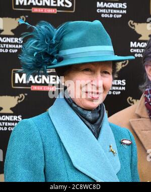 Cheltenham Fest. 2019 Anne, princesse Royale Banque D'Images