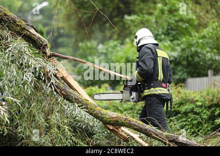 les pompiers aident à nettoyer les effets d'un arbre tombé sur les voitures après la tempête dans un jour pluvieux. Banque D'Images