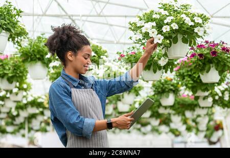 Contrôle de la qualité de l'usine et dispositifs numériques. Femme afro-américaine souriante qui regarde les fleurs et regarde la tablette numérique Banque D'Images