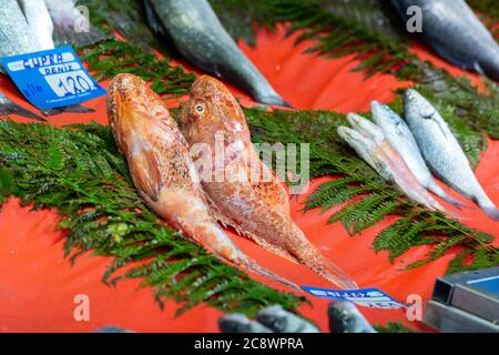 Poissons frais sur un comptoir de marché aux poissons. Contenant du poisson de bream, poisson de porc avec leurs prix à Ortakoy, Istanbul / Turquie. Banque D'Images