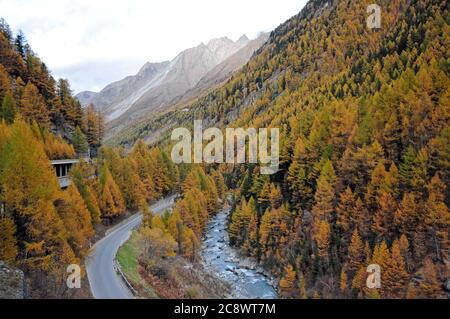 Randonnée de Täsch à Zermatt à travers une forêt de larches en automne. Banque D'Images