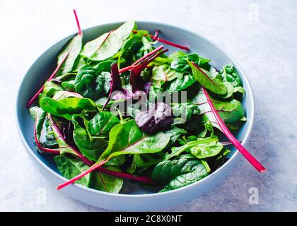 salade fraîche mélangée dans un bol bleu vue de dessus Banque D'Images