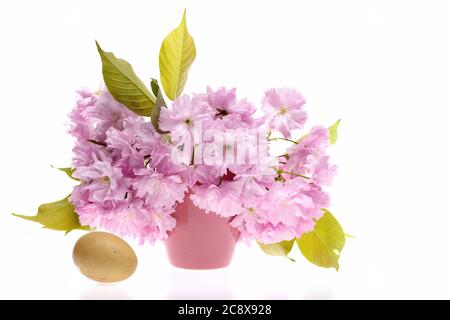 Sakura fleurit en bouquet près de l'oeuf doré, isolé sur fond blanc. Concept du printemps et du jour de Pâques Banque D'Images