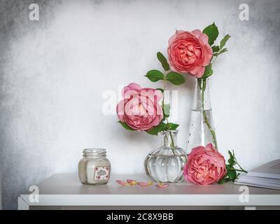 Roses roses dans de petits vases en verre et une bougie sur une étagère Banque D'Images