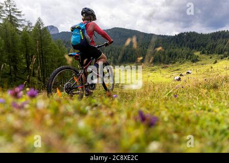 Boy Riding Bicycle dans Prairie de montagne, Alpes, Slovénie Banque D'Images